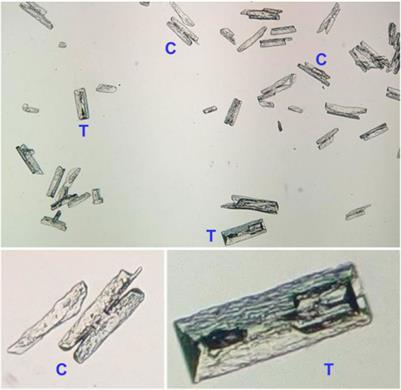 Transformation of struvite from wastewater to a hydrogen fuel storage compound ammonia borane